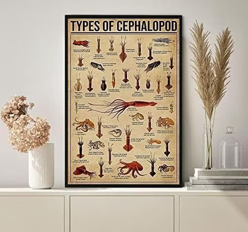 Funny Retro Metal Tin Sign Types of Cephalopod Poster Cephalopod ...