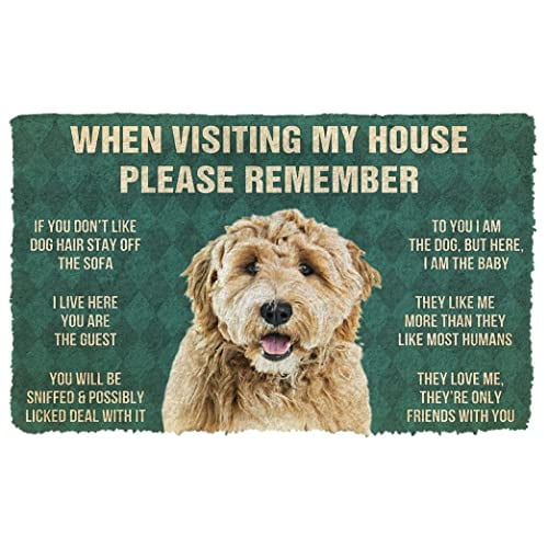 Funny Rug Kids Bathmat Please Remember Goldendoodle Dogs House Rules Doormat Welcome Mats Front Door Doormat Non Slip Farmhouse Housewarming Decoration Entrance Rugs for Porch Home 20x32 inch Walmart....