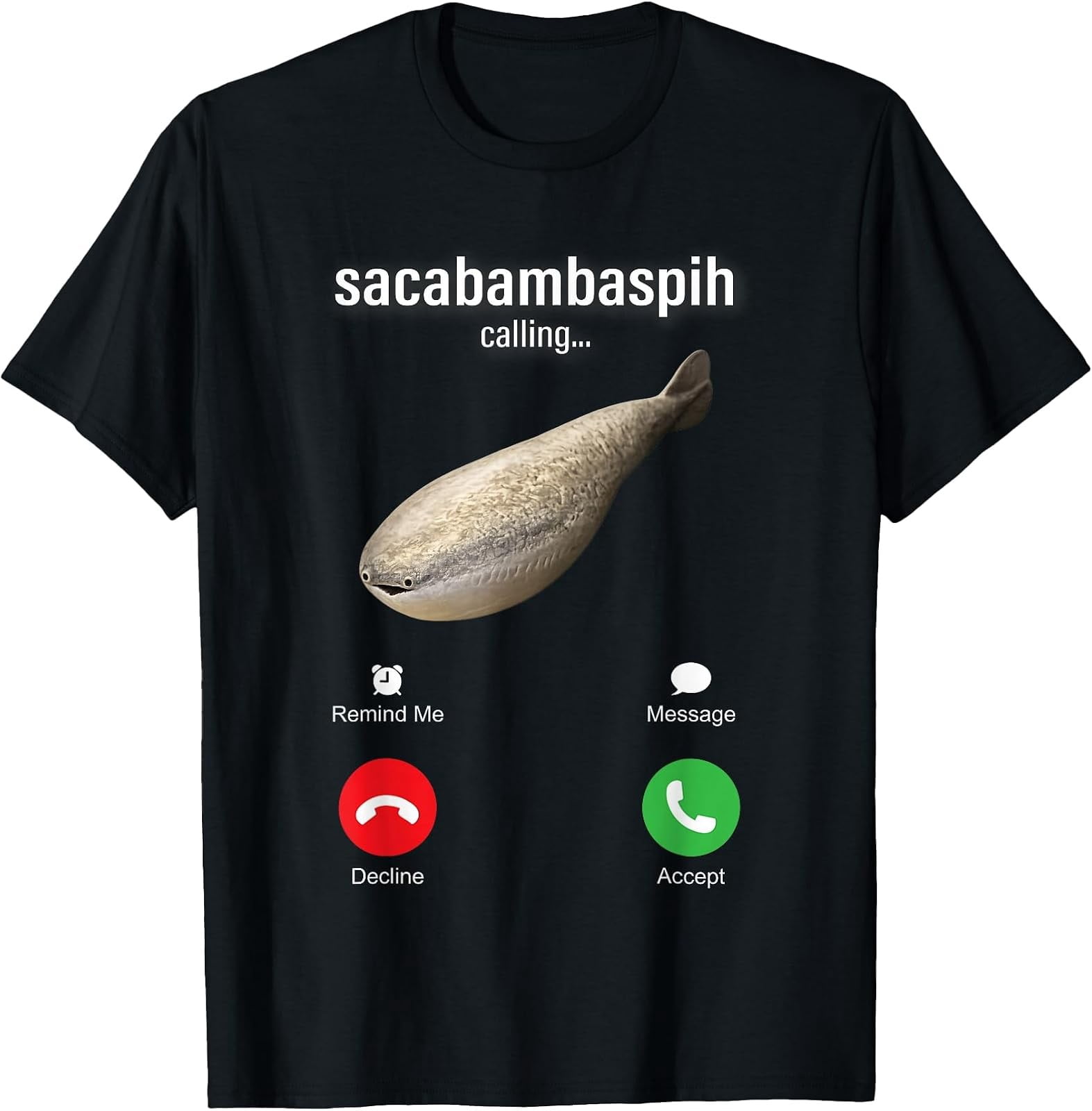 Funny Sacabambaspih