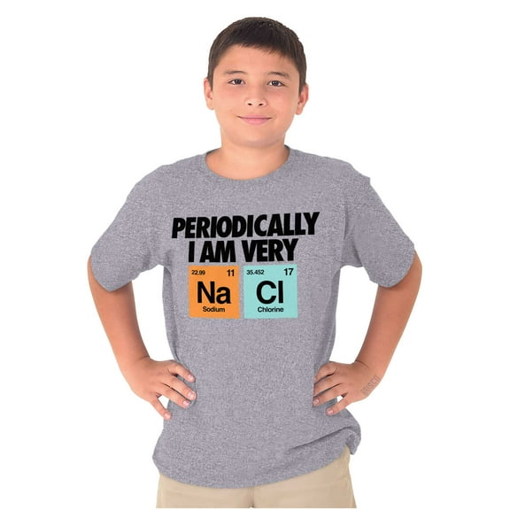 Funny Salty Chemistry Science Joke Crewneck T Shirts Boy Girl Teen Brisco Brands S