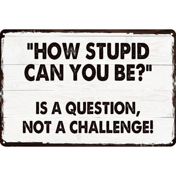 Funny Sarcasm Vintage Metal Tin Signs How Stupid Can You Be is a Question Not a Challenge Retro Wall Decor for Home Cafe Bar Club Office Garden Men & Women Room 8x12 inches