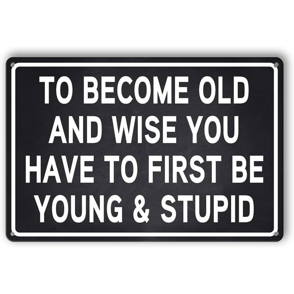 Funny Sarcastic Metal Tin Sign Funny Signs For Bedroom Man Cave Decor For Men Garage Cool Stuff For Your Room Boys My Level Of Sarcasm Depends On Your Level Of Stupidity Sign Bar Shop Signs 8x12