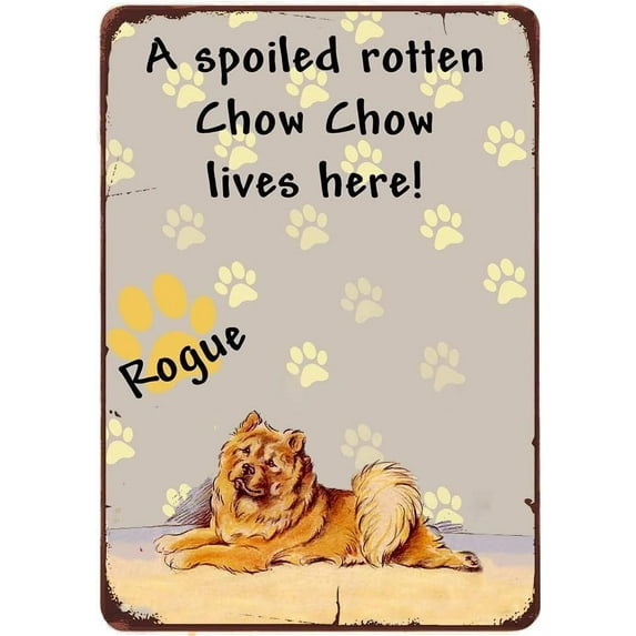 Funny Sarcastic Sign Warning Do Not Dumb Here No Dumb Area Metal Tin Sign for Garage Man Cave Bar Club Home Workshop Wall Decor Metal Plaque 12x16 Inch