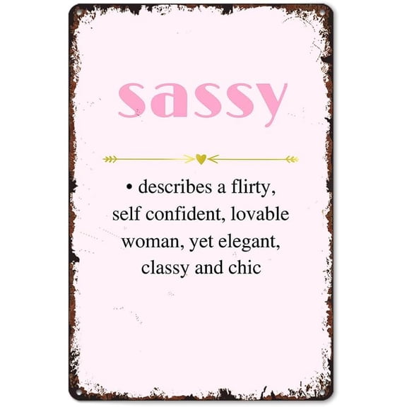 Funny Sassy Definition Metal Wall Sign, Vintage Look Aluminum Poster for Living Room, Bathroom, Kitchen, Bedroom or Patio, 8 x 12 Inch