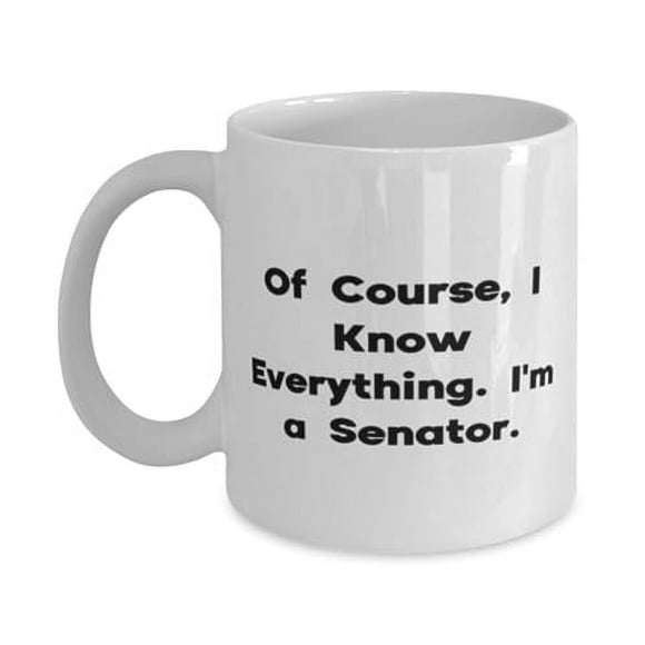 Funny Senator 15oz Mug, Of Course, I Know Everything. I'm a, Present For Colleagues, Sarcastic Gifts From Colleagues, Congressional cup, Senate cup, Legislative cup, Political gift, Government