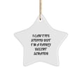 thumbnail image 1 of Funny Senator Gift, I'm A Fairly Decent Senator Star Ornament for Christmas Unique Gifts from Friends to Senator Men, 1 of 4