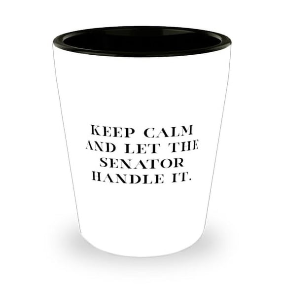 Funny Senator Gifts, Keep Calm and Let the Senator Handle It, Senator Shot Glass From Coworkers, Ceramic Cup For Coworkers, New Shot Glass Set, Personalized Shot Glasses, Custom Shot Glasses, Engraved