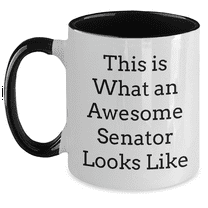 Funny Senator Quote Two Tone Coffee Mug, Gifts for Senator, Graduation Unique Gifts from Friends or Family