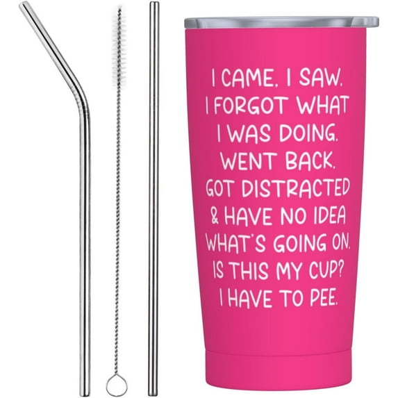 Funny Senior Citizens 20 oz Tumbler with Lid and Straw I Came I Saw I Forgot What I Was Doing Tumblers , Funny Old People Sarcastic gifts for Grandma Grandpa Mom Dad Aunt Birthday Gift Retirement