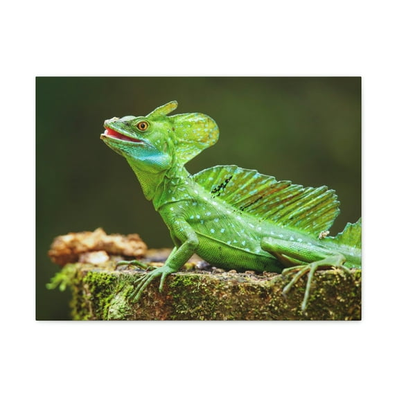Funny Smiling Basilisk Outside Wall Art Ready to Hang Unframed