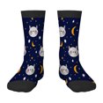Funny Socks for Boys Girls Lemon And Basil Leaf Lobster Shrimp Novelty