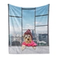 thumbnail image 1 of Funny Soft Flannel Fleece Blanket, Whimsical Little Dog in a Starry Raincoat on Window Big City Panorama Scene, Cozy Plush for Indoor and Outdoor Use, 70" x 90", Pink Grey Sky Blue, by Ambesonne, 1 of 6