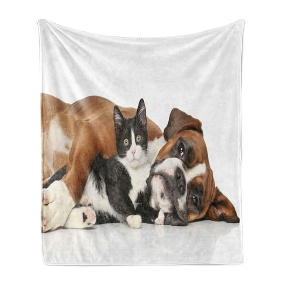 Funny Soft Flannel Fleece Throw Blanket, Cat and Dog Cuddling Lying on Floor Friendship Theme Animals Togetherness, Cozy Plush for Indoor and Outdoor Use, 50" x 70", Brown Black White, by Ambesonne