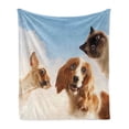thumbnail image 1 of Funny Soft Flannel Fleece Throw Blanket, Cat and Dogs Domestic Home Pets Friends Hilarious Expressions Sky Clouds Collage, Cozy Plush for Indoor and Outdoor Use, 50" x 70", Multicolor, by Ambesonne, 1 of 6