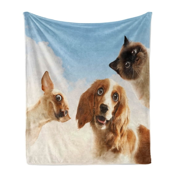 Funny Soft Flannel Fleece Throw Blanket, Cat and Dogs Domestic Home Pets Friends Hilarious Expressions Sky Clouds Collage, Cozy Plush for Indoor and Outdoor Use, 70" x 90", Multicolor, by Ambesonne
