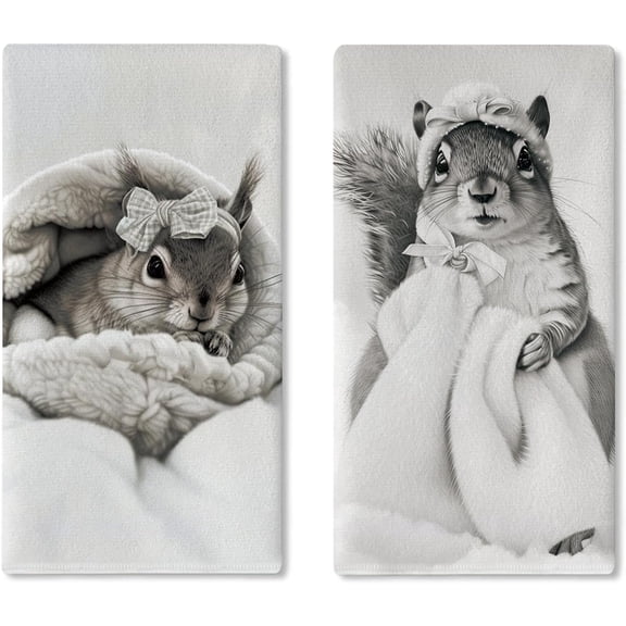 Funny Squirrel Bathroom Dish Towels Set of 2, Cute Animal Washroom Drying Hand Towel Baking Cooking Cloth, Restroom Home Kitchen Decoration Gifts for Squirrel Lovers 18'' x 26''