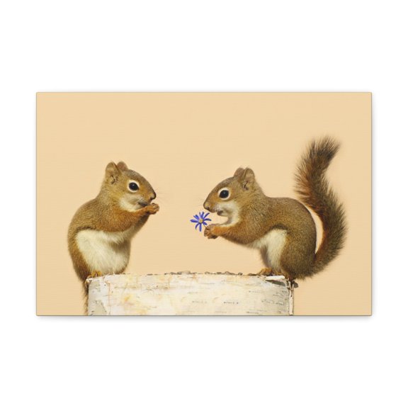 Funny Squirrel Silly Squirrel Couple Wall Art Ready To Hang Unframed