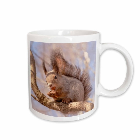 3drose, Funny Squirrel Sits on a Tree Branch and Eats a Hazel Nut, 15oz Mug