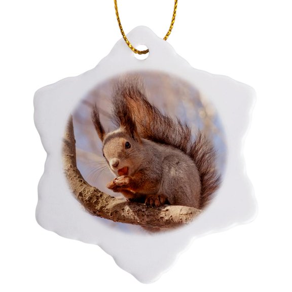 3drose, Funny Squirrel Sits on a Tree Branch and Eats a Hazel Nut, 3 inch Snowflake Porcelain Ornament