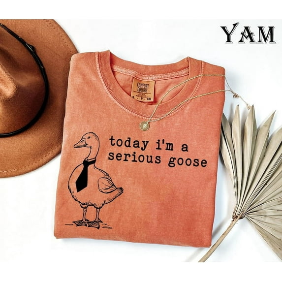 Funny T-Shirt, Today I'm a Serious Goose Tshirt, Funny Silly Shirt, Funny Goose Shirt, Goose Lover Shirt, Meme Tshirt, Gag Tee TH190545
