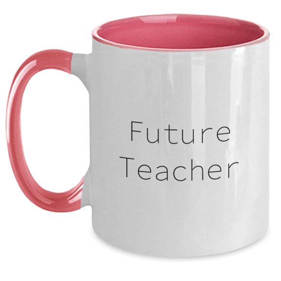 Funny Teacher Gifts from Men to Teacher Friends for Christmas Unique Teacher Two Tone Coffee Mugs