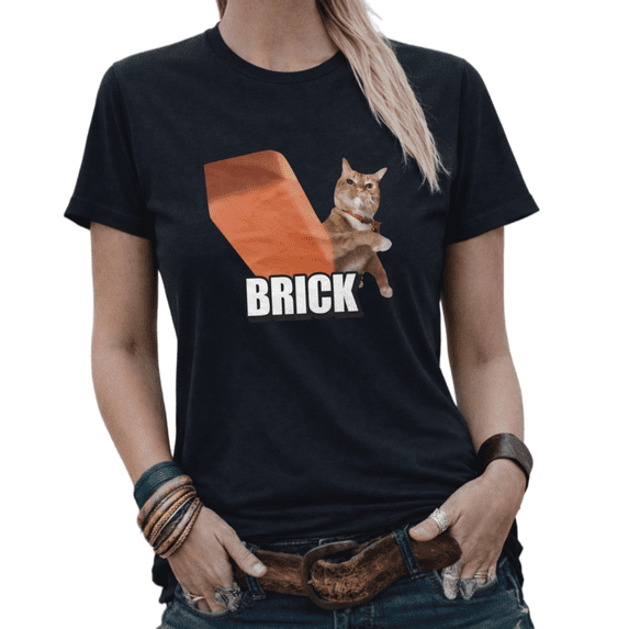 Funny The Beast Inside Me Cat Graphic Tees Women's Casual Cat Lover Top