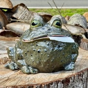 Funny Toads Ceramic Tissue Box Cover, Handmade Ceramic Frog Designs Toiletpaper Cute Novelty Tissue Holder for Home Living Room Bathroom Office Decor, Perfect Gift