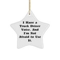 thumbnail image 1 of Funny Truck Driver Gifts, I Have a Truck Driver Voice. and I'm Not, Birthday Star Ornament for Truck Driver from Coworkers, Hilarious Christmas Ornaments, Funny, Gag Gifts for, 1 of 1
