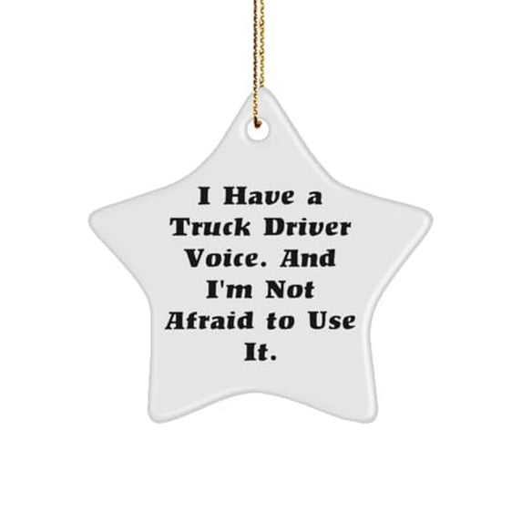 Funny Truck Driver Gifts, I Have a Truck Driver Voice. and I'm Not, Birthday Star Ornament for Truck Driver from Coworkers, Hilarious Christmas Ornaments, Funny, Gag Gifts for