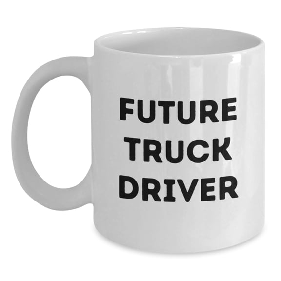 Funny Truck Driver Gifts from Men to Future Truck Driver Christmas Unique Mugs