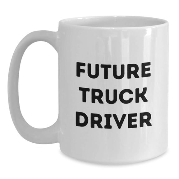 Funny Truck Driver Gifts from Men to Future Truck Driver Christmas Unique Mugs