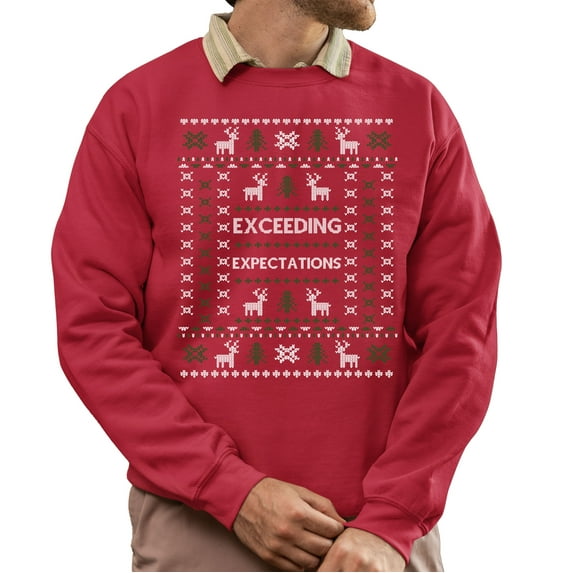 Funny Ugly Xmas Sweater, Funny Christmas Sweatshirt, Exceeding Expectations Ugly Christmas Sweater, Xmas Sweater