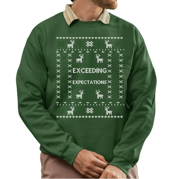 Funny Ugly Xmas Sweater, Funny Christmas Sweatshirt, Exceeding Expectations Ugly Christmas Sweater, Xmas Sweater
