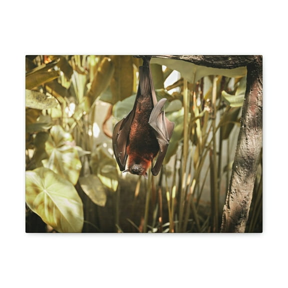Funny Vampire Bat Silly Vampire Bat Scene Outside Wall Art Ready to Hang Unframed