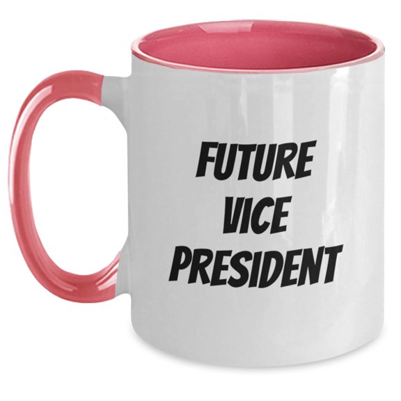 Funny Vice President Gifts from Friends and Family, Christmas Unique Mugs for Men, Women, and Coworkers with Inspirational Quote