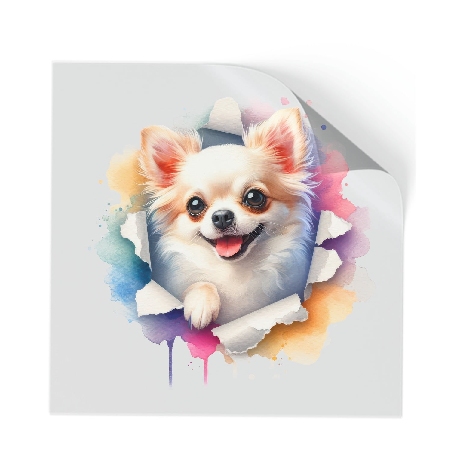 Funny Watercolor Adorable Chihuahua Peeking Through Torn Paper Effect ...
