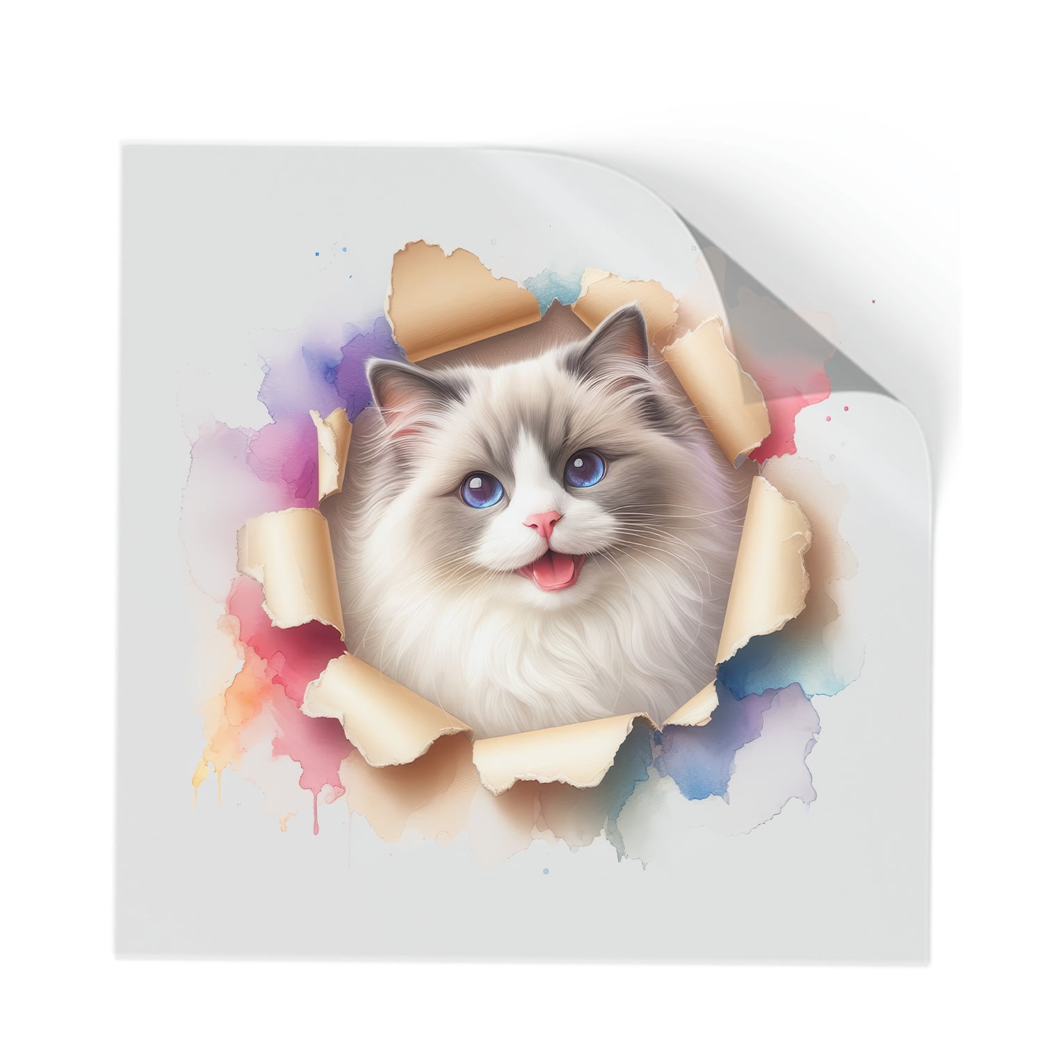 Funny Watercolor Adorable Ragdoll Peeking Through Torn Paper Effect ...