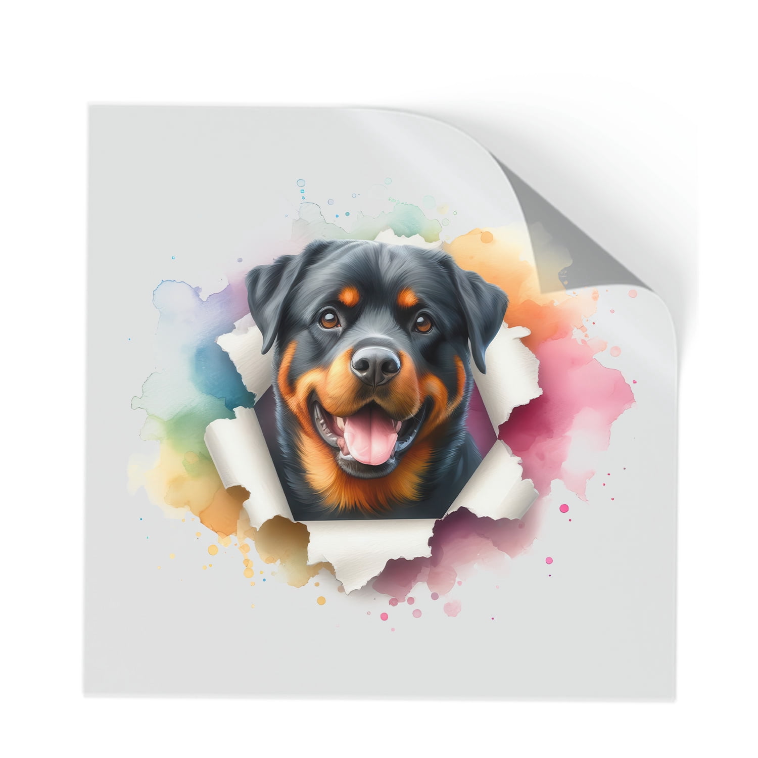 Funny Watercolor Adorable Rottweiler Peeking Through Torn Paper Effect ...