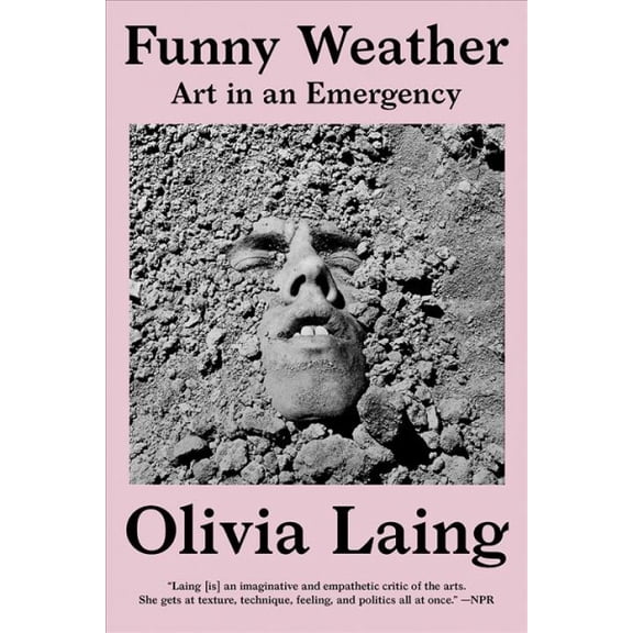 Pre-Owned Funny Weather : Art in an Emergency (Paperback) 9780393867398