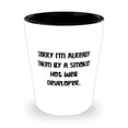 thumbnail image 1 of Funny Web developer Shot Glass, Sorry I'm Already Taken by a Smokin' Hot Web, Present For Men Women, Reusable From Team Leader, 1 of 1
