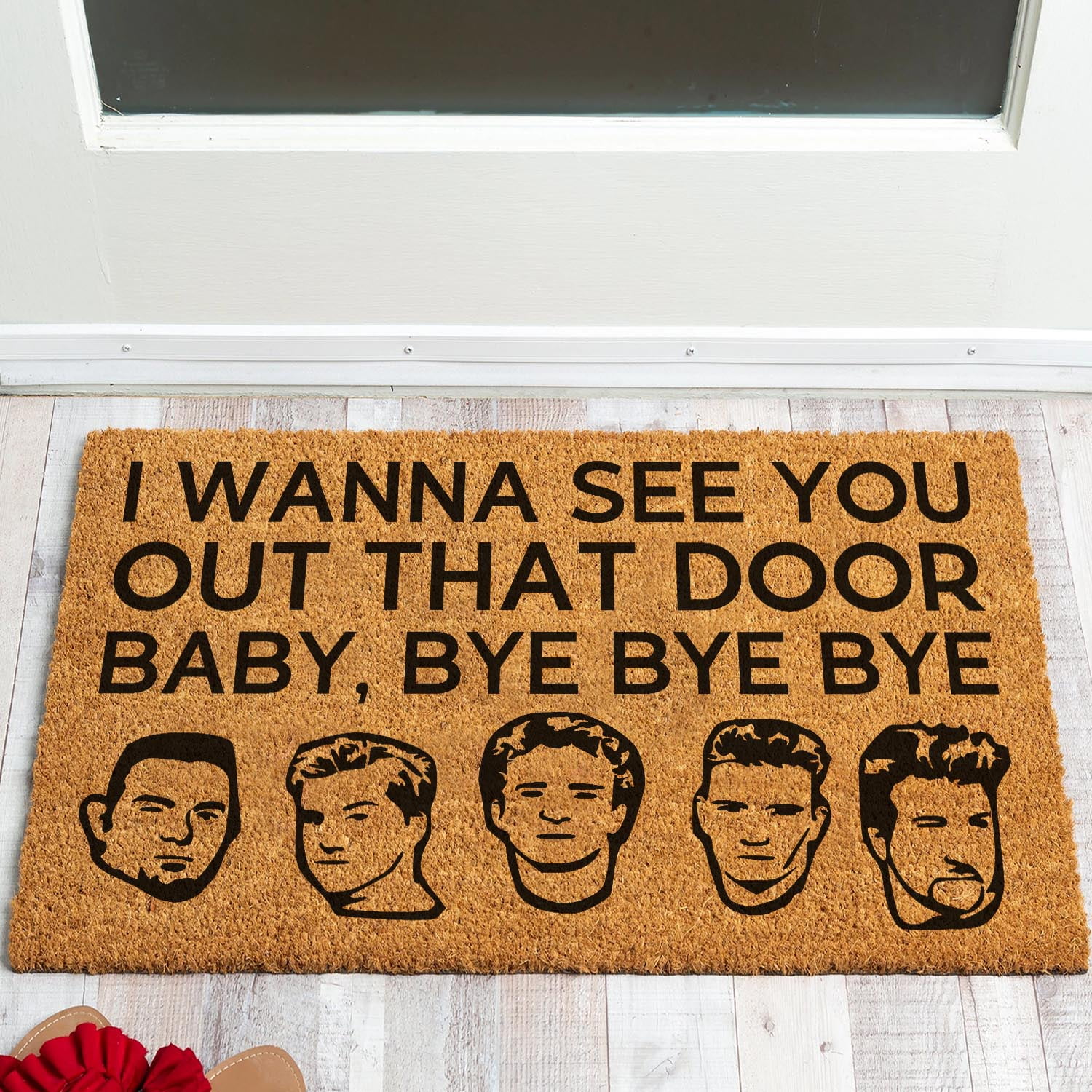 Funny Welcome Coir Doormat I Wanna See You Out That Door Doormat Welcome Front Porch Decor Doormat for The Entrance Way Personalized Rug Non Slip Outdoor Coir Doormat 23.6x15.7inch