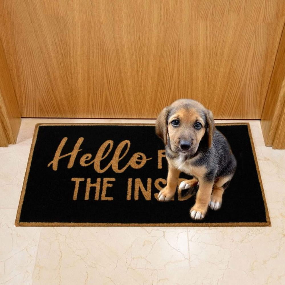 Welcome funny door mat rug Door rugs for entryway indoor Indoor