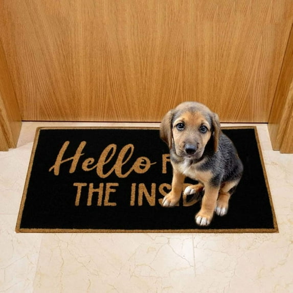 Funny Welcome Monogram Doormats for Entrance Way Indoor Decor Hello From The InSide Doormat Kitchen Rugs and Mats With Anti-Slip Rubber Back Novelty Gift Mat(23.6 X 15.7 in)