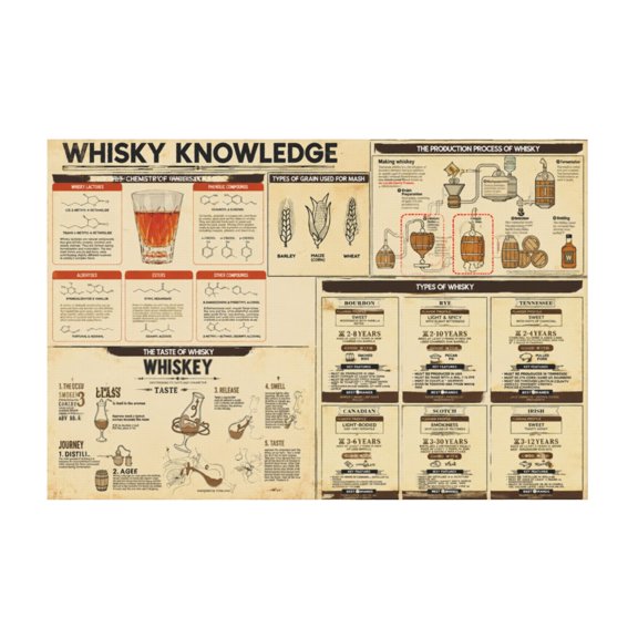 Funny Whisky Knowledge Canvas Wall Art Rustic Bar Kitchen Bathroom Home Decor 12*18in