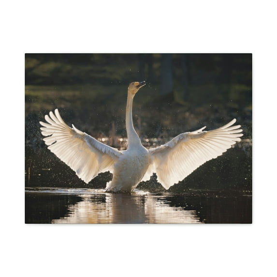 Funny Whooper Silly Whooper Scene Outside Wall Art Ready to Hang Unframed