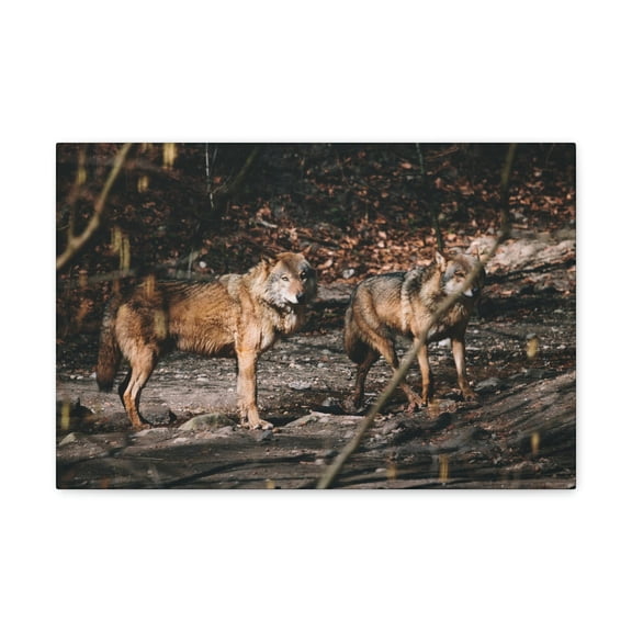 Funny Wolf Silly Wolf Scene Couple Wall Art Ready to Hang Unframed