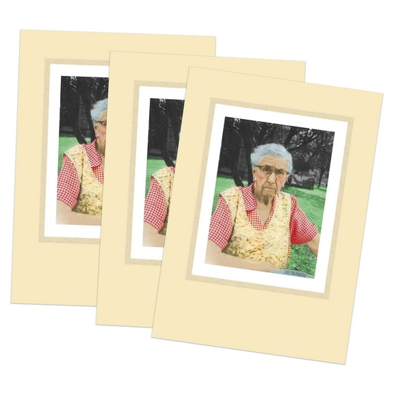 Funny Women's Birthday Greeting Card (5" x 7") by Actual Pictures | 3 Pack + 3 Envelopes (Golden Years)