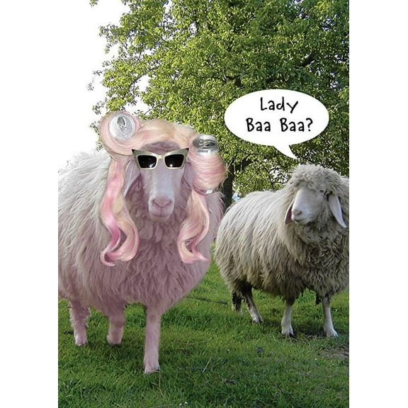 Funny Women's Birthday Greeting Card (5" x 7") by Paper Street | 3 Pack + 3 Envelopes (Lady Baa Baa Sheep)