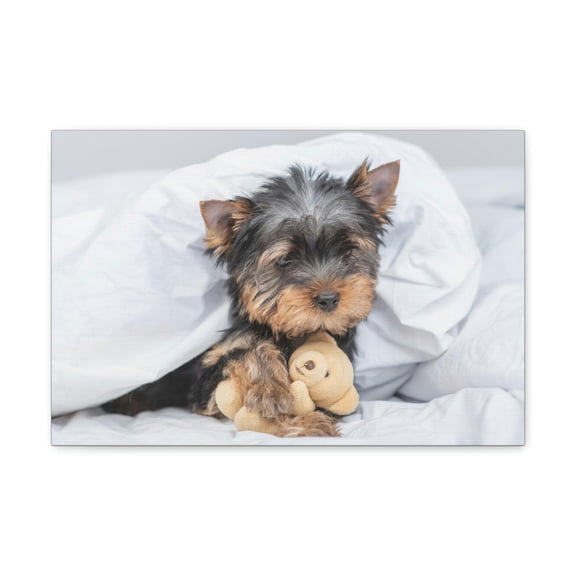 Funny Yorkshire Terrier Silly Yorkshire Terrier Inside Wall Art Ready to Hang Unframed