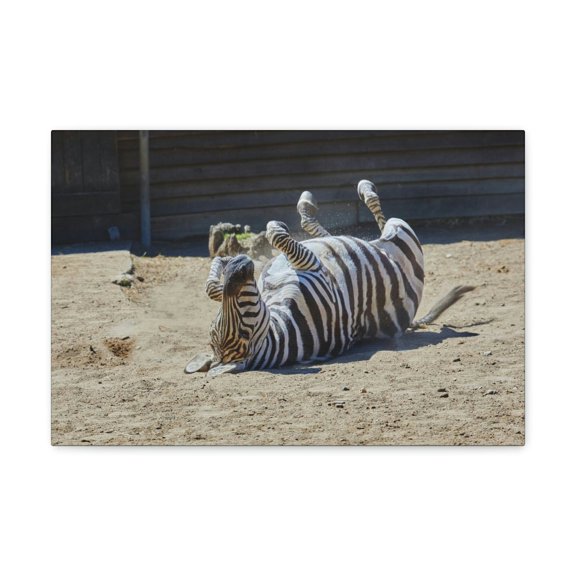 Funny Zebra Silly Zebra Inside Wall Art Ready to Hang Unframed